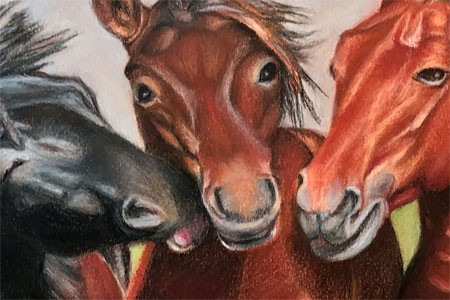 Spirit Pony Study #6 (after Juniors Bildachiv), 2020, soft pastel and cont&eacute; on pastel paper (20cmx28cm)