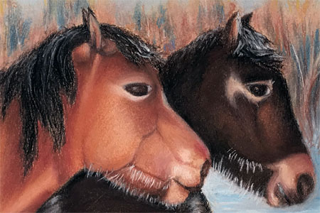 Spirit Pony Study #7 (after Juniors Bildachiv), 2020, soft pastel and cont&eacute; on charcoal paper (21cmx27cm)