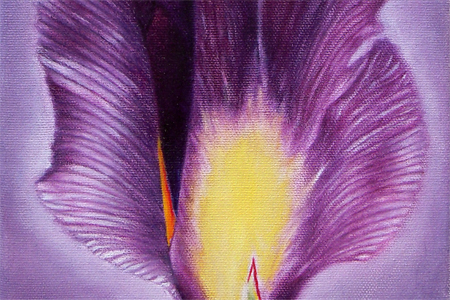 Still Life: Iris, 2013, oil on canvas (17cm x 22cm)