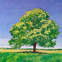 Tree of prayers 10