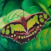 unfolding 5